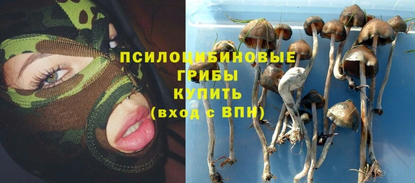 mdpv Покров
