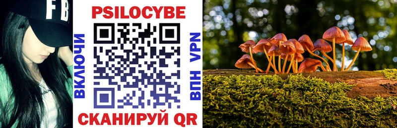 как найти   Белёв  darknet Telegram  Галлюциногенные грибы MAGIC MUSHROOMS 